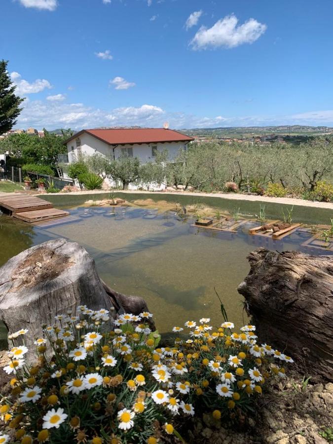 Villa Con Biolago - Downstairs Cappelle sul Tavo Екстериор снимка