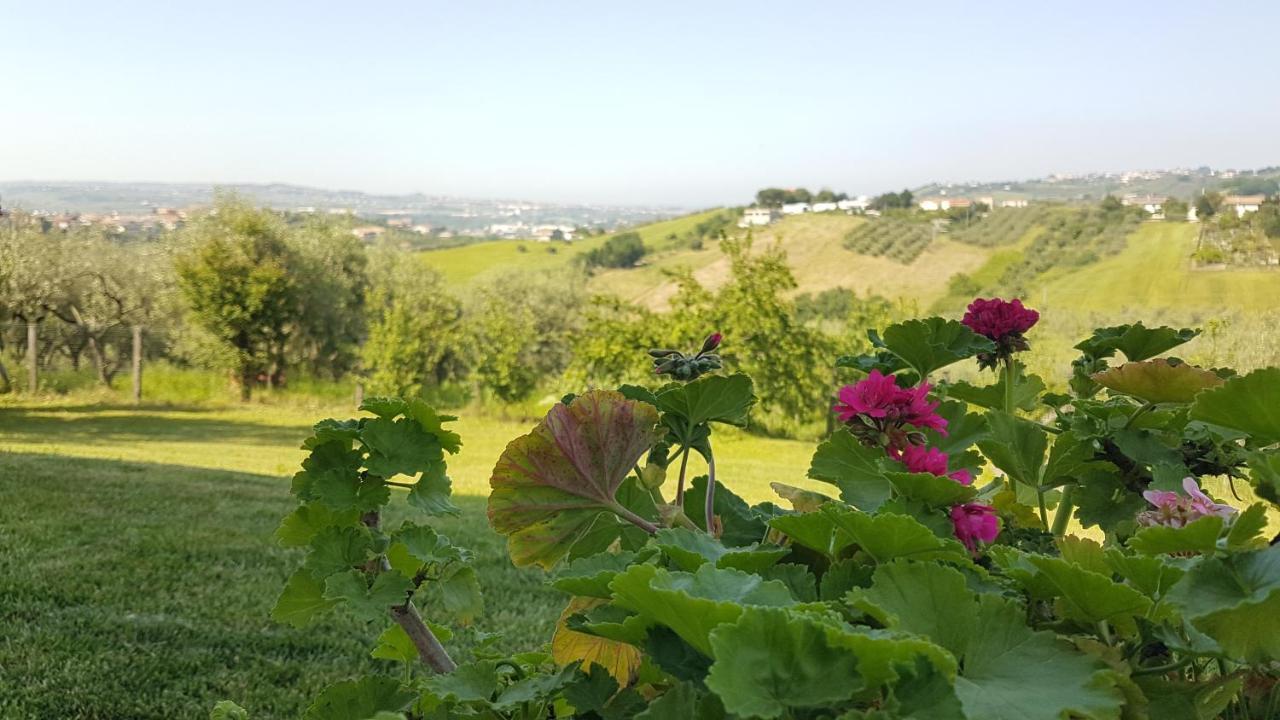 Villa Con Biolago - Downstairs Cappelle sul Tavo Екстериор снимка